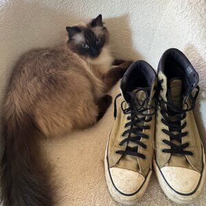 Worn Green Converse